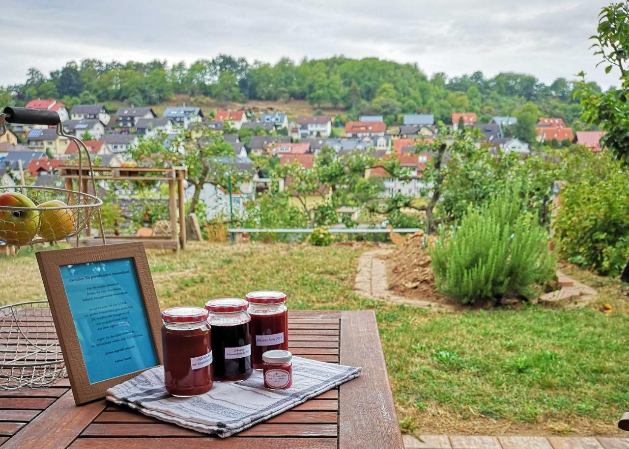 Ferienwohnung Im Paradies Momlingen Exteriör bild